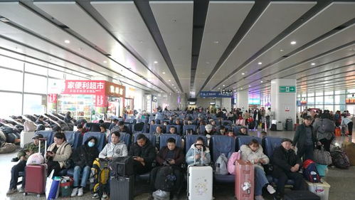 春運(yùn)進(jìn)行時(shí) 長沙汽車西站客流量攀升，預(yù)計(jì)2月7日迎峰值